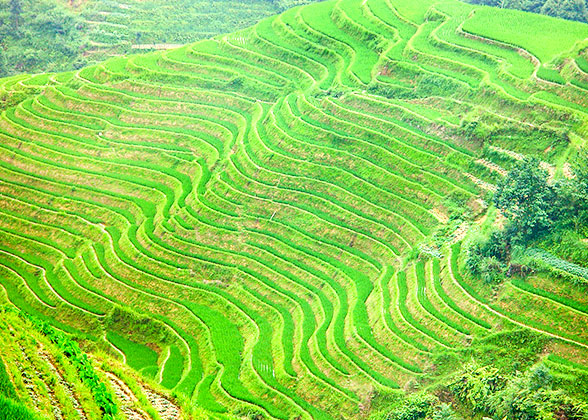 龙骨梯田，龙胜